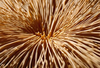 Obraz premium Close-up of spaghetti-like strands arranged in circular pattern with dense brown and beige texture.