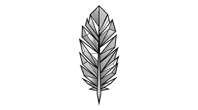 Geometric Feather Line Art Illustration on White Background