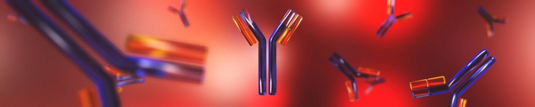 antibody, immunoglobulin, Y-shaped protein produced mainly by plasma cells,   3d rendering