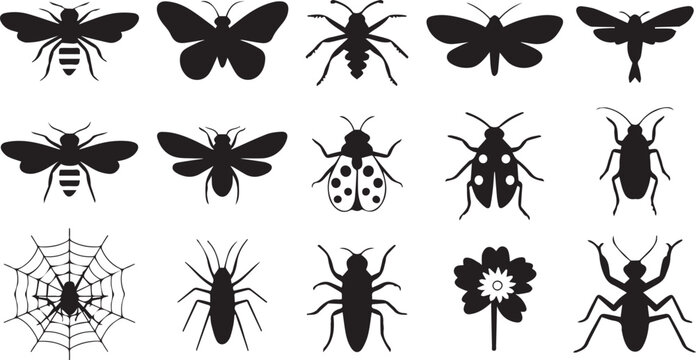 Black silhouettes of various insects and a spider on white background