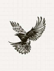 Obraz premium Vintage Flying Raven Engraving Illustration
