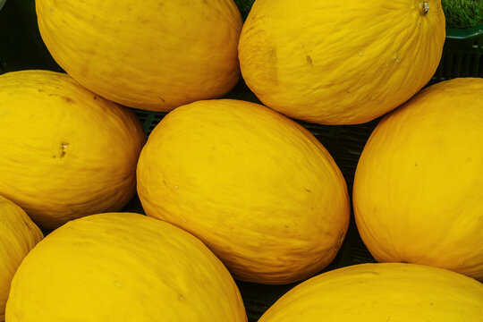 Yellow canary melons background sweet raw honeydew melon top view texture. Fresh ripe yellow melons stacked together at a local organic market in bright daylight