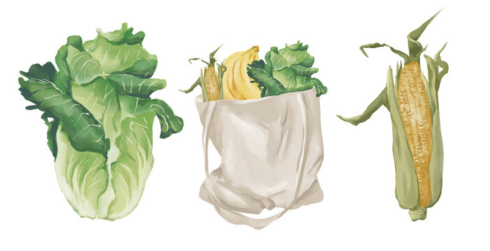 Watercolor ecofriendly zero waste kitchen organization, eco shoping farm market tote bags, fruits vegetables storage,
