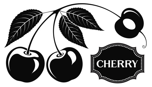 Very beautiful black-and-white engraved vector illustration featuring whole CHERRIES attached to a stem, a sliced cherry showing the pit, leaves, and a decorative botanical label reading "CHERRY", ren