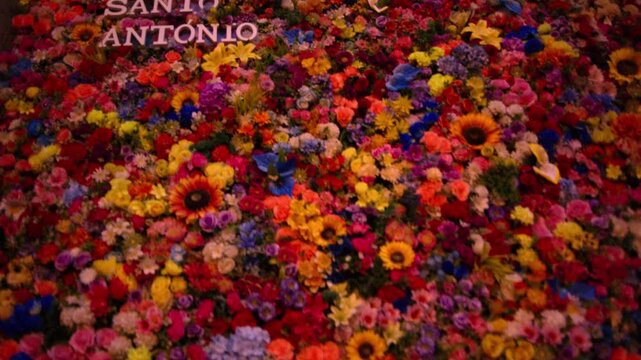 Colorful Santo Antonio Flower Display During Santos Populares Festival Lisbon Portugal Shot with Cinema Camera