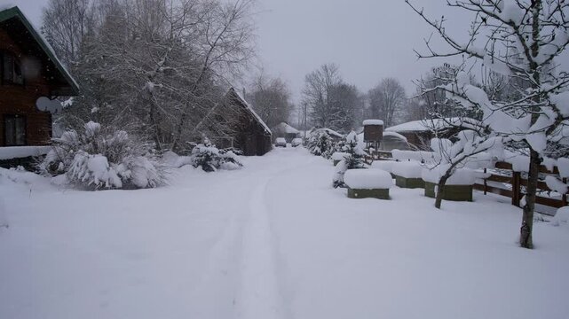Snow-covered village yard and narrow path beside a house, framed by bare winter trees, fences, and deep drifts under soft overcast daylight