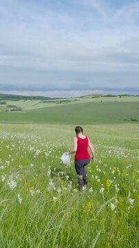 Woman gathering medicinal wild herbs in natural flower meadow vertical video