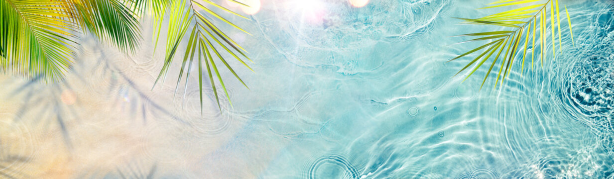 Sand And Water With Palm Leaves - Sea Shore Top View
