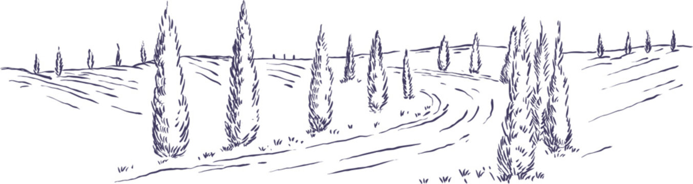 Hand-drawn vector ink sketch of traditional Tuscan landscape featuring winding country road lined with classic cypress trees on rolling hills in Italy.