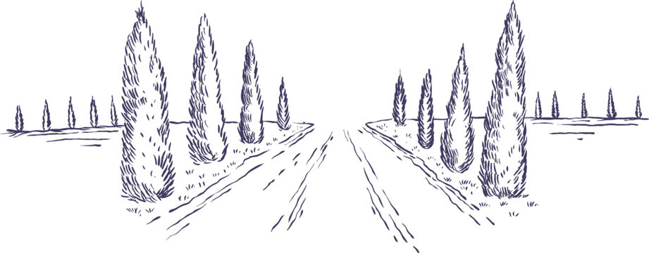 Vector ink drawing of straight country road with symmetrical perspective, lined with tall cypress trees under minimal Tuscan horizon.
