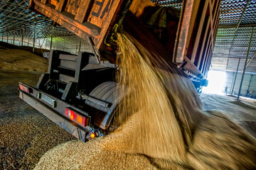 Loading process of wheat grain in elevator granary warehouse. Agro manufacturing plant equipment. Harvest time © 279photo