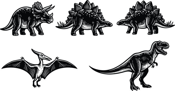 Black and white illustrations of various dinosaurs including a triceratops stegosaurus brachiosaurus pterodactyl and tyrannosaurus rex detailed line art on a plain background