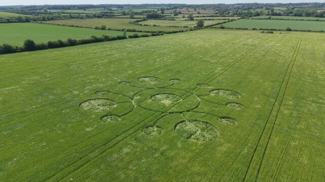 Aerial orbital footage of a mysterious, intricate, geometric crop art, crop circle formation in a barley field near White Sheet Hill, White Sheet Downs, Mere, Wiltshire, England, UK; 22 May 2026