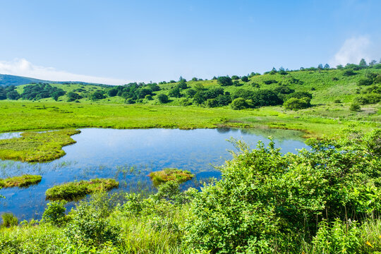 八島ヶ原湿原