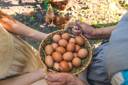 Chicken eggs on the farm. Selective focus.