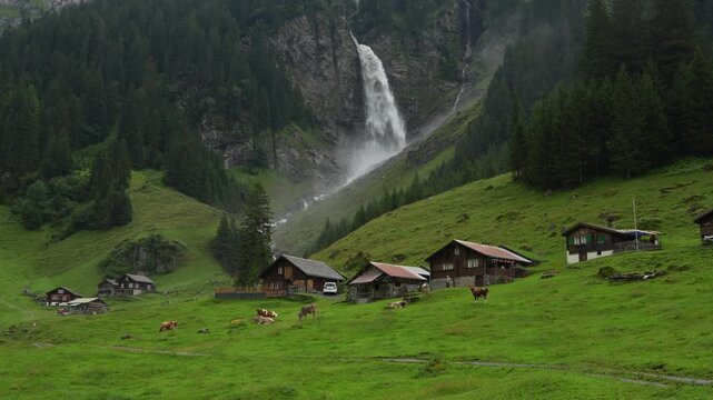 Mountain landscape with cows