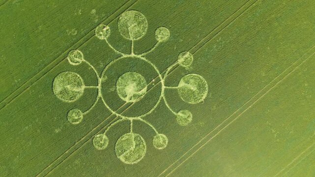 Aerial slide footage of a mysterious, intricate, geometric crop art, crop circle formation in a barley field near White Sheet Hill, White Sheet Downs, Mere, Wiltshire, England, UK; 22 May 2026