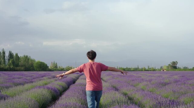 Lavender field person travel walking rural summer mountain sky path capture calm joy as person wander along path through lavender field under wide sky with mountain view, serene free journey