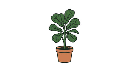 Fototapeta premium Fiddle Leaf Fig Plant in Terracotta Pot, Vector Illustration