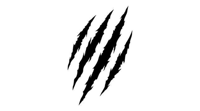 Black claw marks on white background.