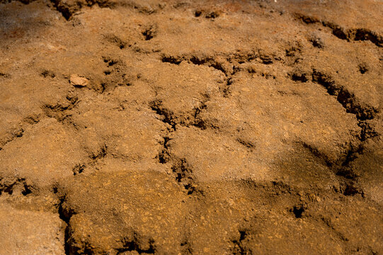 Cracked dry soil texture &ndash; drought and desertification concept