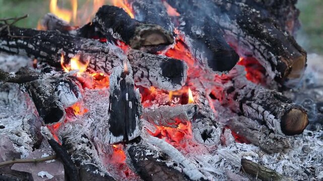 Close-up of burning firewood in a bonfire. Charred wood with orange flames and glowing coals. Burning hearth with coals and sparks. Smoldering coals and tongues of flame in an evening bonfire