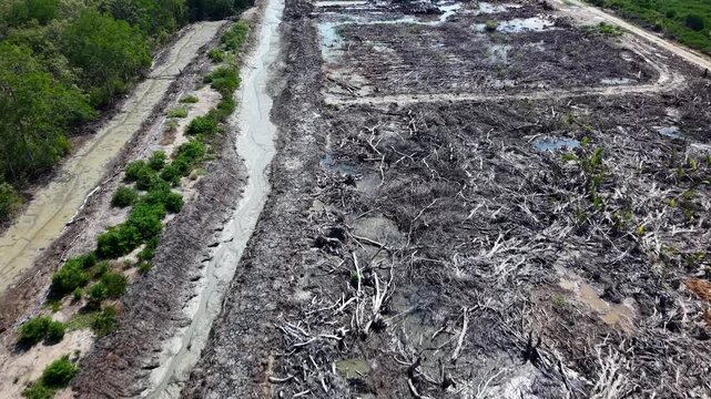 Aerial perspective of a vast cleared land with visible tree stumps, dry soil, and debris