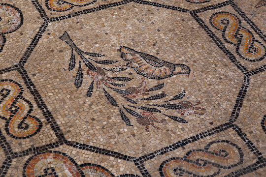I Tasselli della Storia: I Mosaici della Basilica di Aquileia