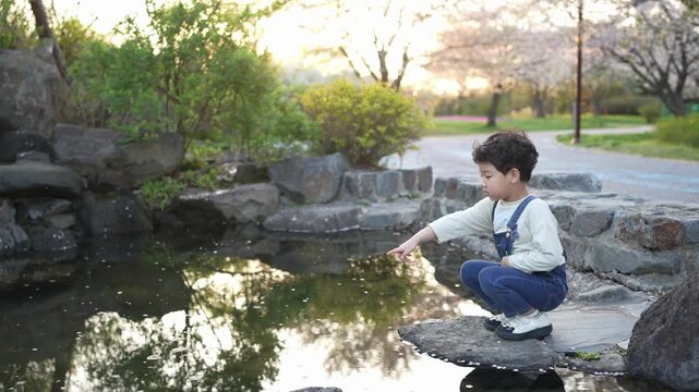 Child crouches near calm pond, eyes fixed on water. Soft sunlight glows behind blooming cherry trees. Natural stones frame still surface, reflecting sky and greenery. Child appears curious
