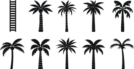 Fototapeta premium Palm Tree Silhouette Vector Icon Set with Tropical Coconut Trees and Ladder Elements for Summer Beach Vacation and Nature Graphic Designs