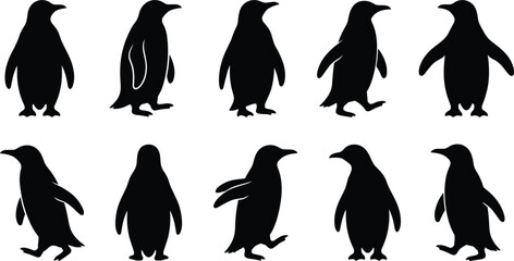 Penguin Silhouette Vector Icon Set with Arctic Wildlife and Antarctic Bird Elements for Winter Nature Conservation and Education Graphic Designs © SUMON