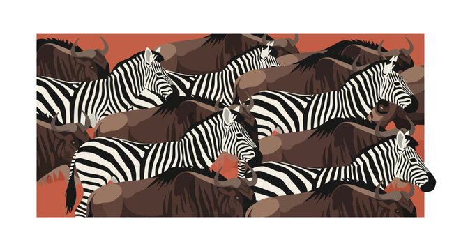 A herd of zebras with striking black and white stripes.