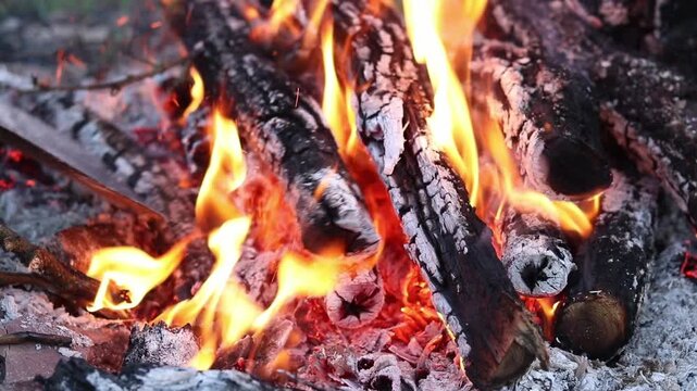 The process of raking coals in a bonfire with a metal shovel. Close-up of burning firewood, ash and sparks. A metal shovel rakes up bright red hot coals in an evening bonfire. Bright flame
