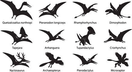 Prehistoric Flying Reptile Silhouettes, Pterosaur Vector Icons Set, Ancient Dinosaur Winged Creatures Collection, Paleontology Illustration © Saeedur