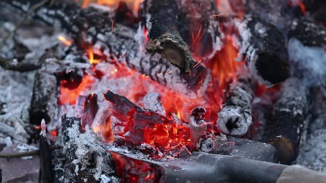 The process of raking coals in a bonfire with a metal shovel. Close-up of burning firewood, ash and sparks. A metal shovel rakes up bright red hot coals in an evening bonfire. Bright flame