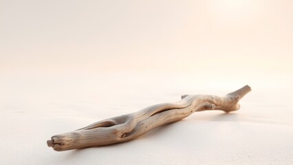 Obraz premium Driftwood branch with smooth weathered textures lies across a soft beige sandy background under warm sun.