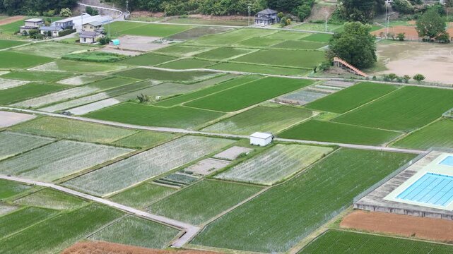 Aerial view of lush green farmland divided into neat plots. Fields show varying growth stages and colors. Some plots have blue irrigation systems or small structures