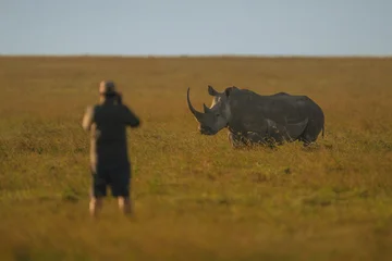 Man stands photographing black rhino on savanna © Nick Dale