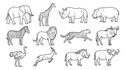 African safari animals vector set, wild savanna wildlife line art, 12 animal icons for coloring © usmi