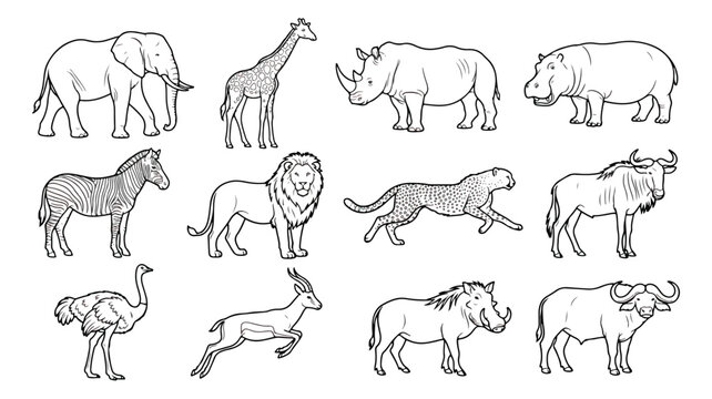 African safari animals vector set, wild savanna wildlife line art, 12 animal icons for coloring