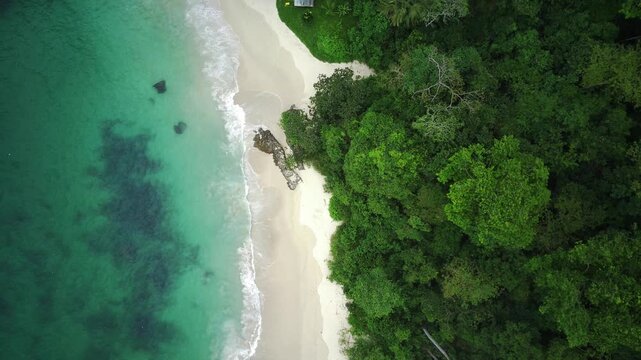 Aerial view of a serene beach with turquoise water and lush greenery in Teluk Ijo, Banyuwangi, East Java, Indonesia.