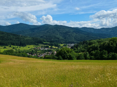 germany, charming meadow foreground overlooking elzach village and wooded mountains in radiant summer atmosphere