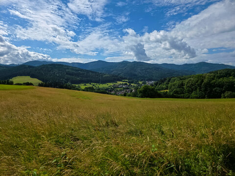 germany, breathtaking black forest panorama with sunny meadow foreground elzach village homes and distant mountains beneath blue sky