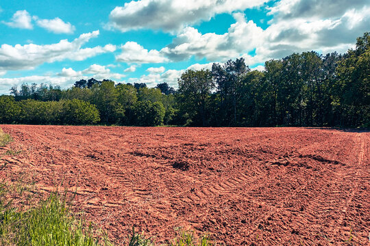 Terre de juin
