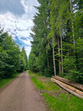 germany, scenic hiking trail along forest edge with rustic timber and endless summer countryside charm
