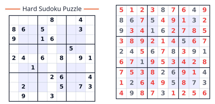 Sudoku with answers vector
