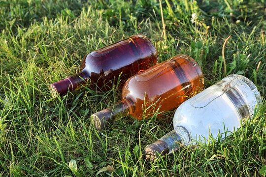 An angled commercial shot of three glass bottles filled with dark amber, light golden, and clear spirits lying flat on green lawn grass. The picture captures bright summer sunlight and fine water cond