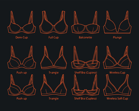 Different bra cup styles illustrated demi full balconette plunge push up triangle shelf wireless soft cup for perfect fit.