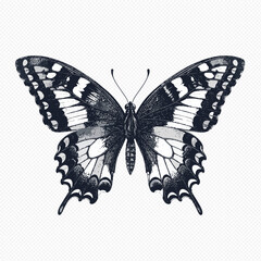 Detailed butterfly illustration with black and white wings on transparent background © Anik