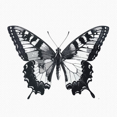 Monochrome butterfly illustration on transparent background insect © Anik